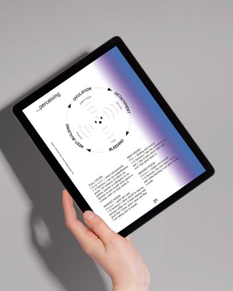 A unique, detachable cycle diagram included in the book for self-reflection and connection with the female cycle.